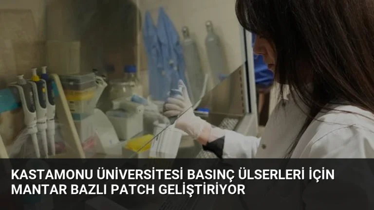 Kastamonu Üniversitesi Basınç Ülserleri İçin Mantar Bazlı Patch Geliştiriyor