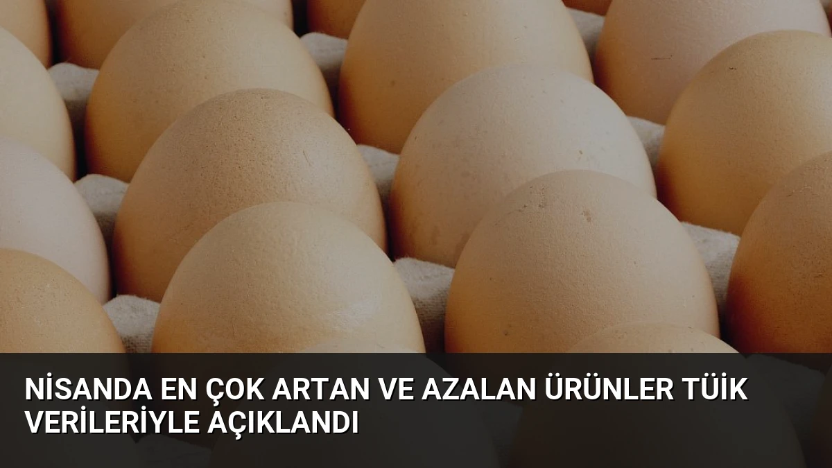 Nisanda En Çok Artan ve Azalan Ürünler TÜİK Verileriyle Açıklandı