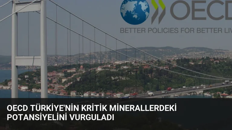 OECD Türkiye’nin Kritik Minerallerdeki Potansiyelini Vurguladı