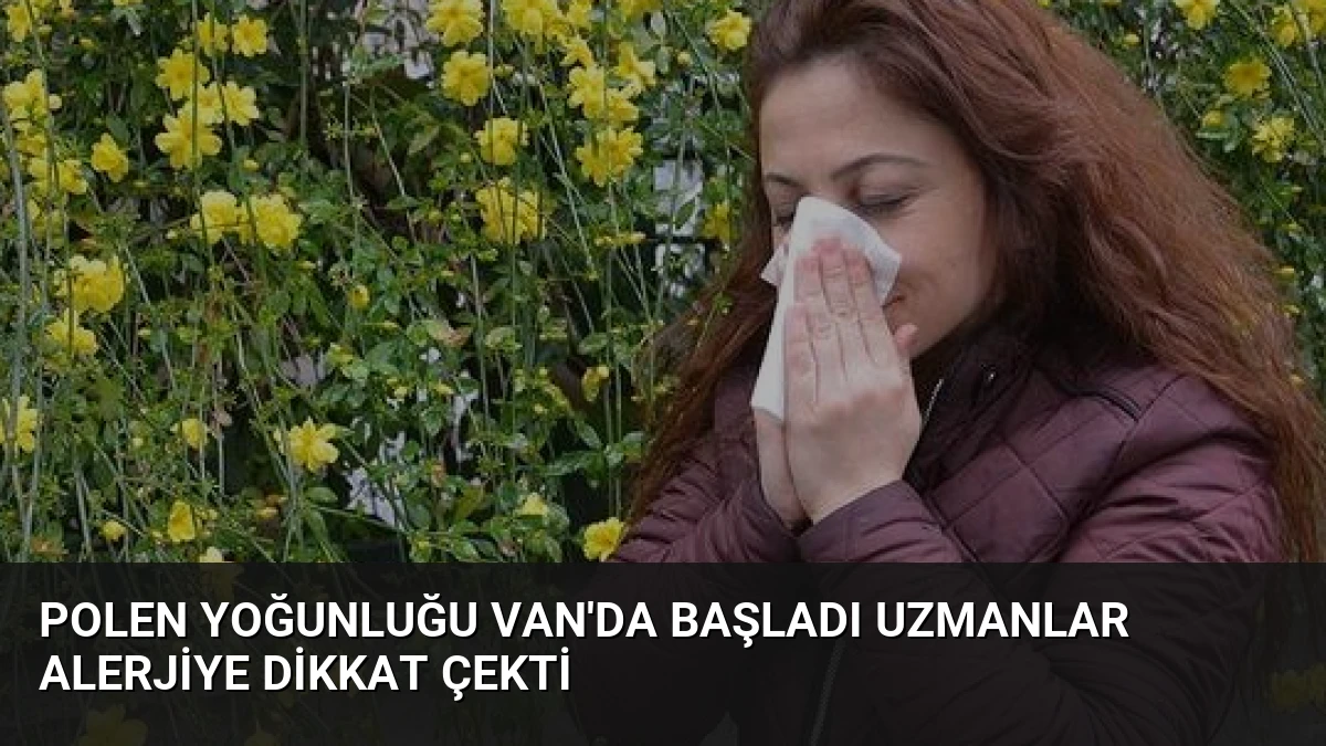 Polen Yoğunluğu Van’da Başladı Uzmanlar Alerjiye Dikkat Çekti