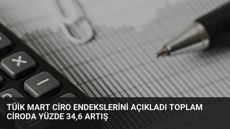TÜİK Mart Ciro Endekslerini Açıkladı Toplam Ciroda Yüzde 34,6 Artış
