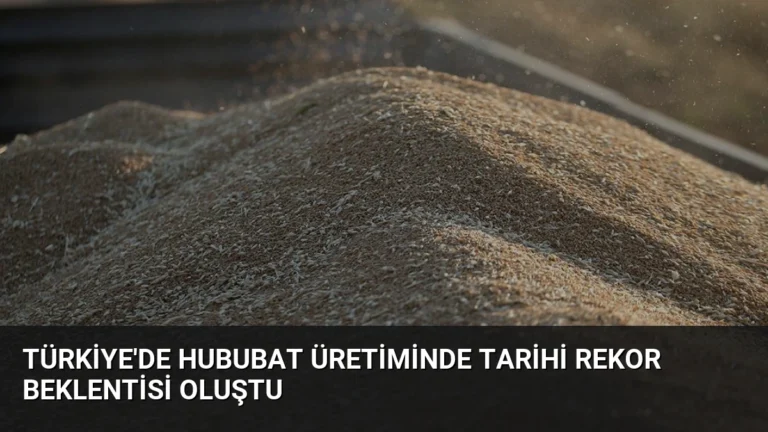 Türkiye’de Hububat Üretiminde Tarihi Rekor Beklentisi Oluştu