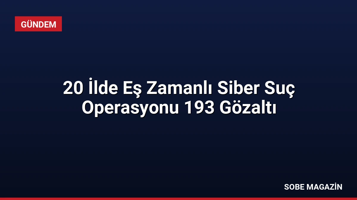 20 İlde Eş Zamanlı Siber Suç Operasyonu 193 Gözaltı