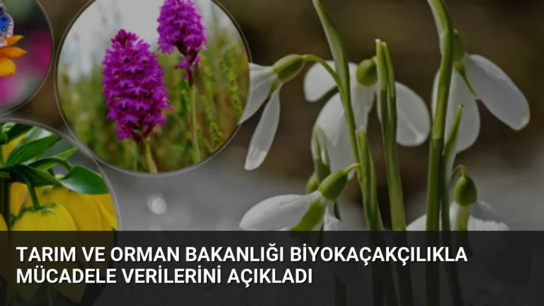 Tarım ve Orman Bakanlığı Biyokaçakçılıkla Mücadele Verilerini Açıkladı