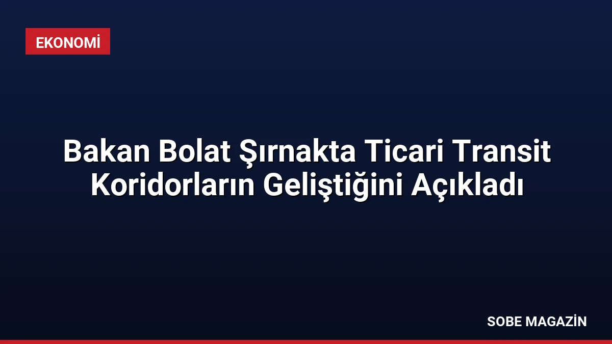 Bakan Bolat Şırnakta Ticari Transit Koridorların Geliştiğini Açıkladı