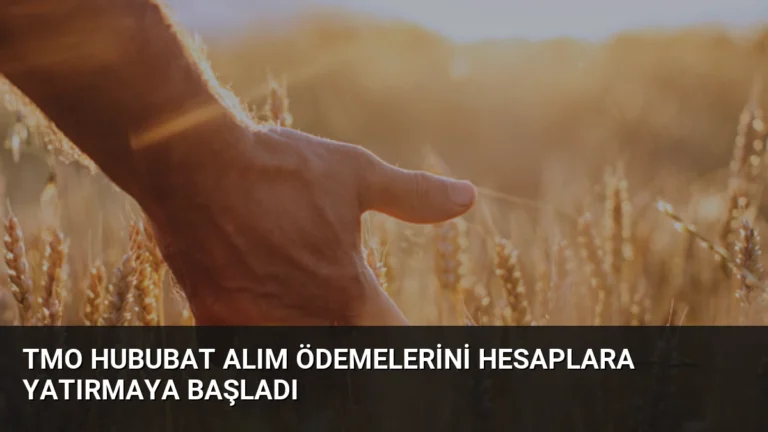 TMO Hububat Alım Ödemelerini Hesaplara Yatırmaya Başladı