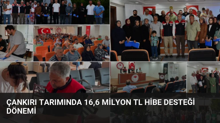 Çankırı Tarımında 16,6 Milyon TL Hibe Desteği Dönemi
