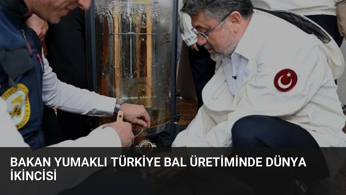 Bakan Yumaklı Türkiye bal üretiminde dünya ikincisi