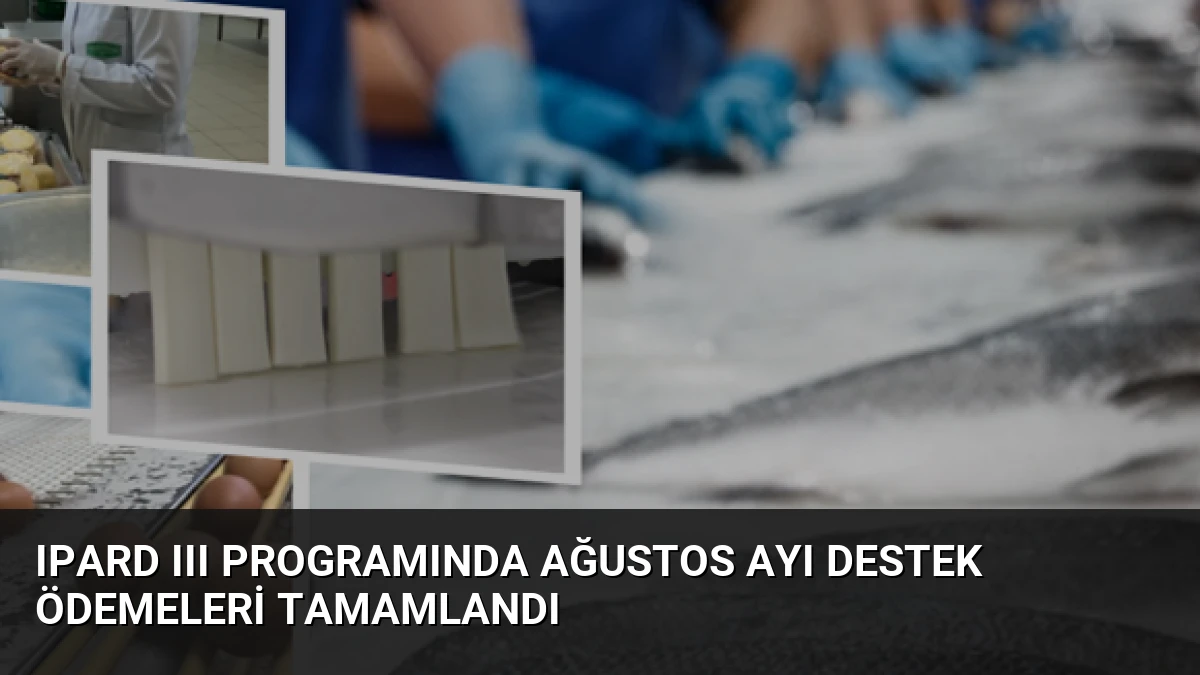 IPARD III Programında Ağustos Ayı Destek Ödemeleri Tamamlandı