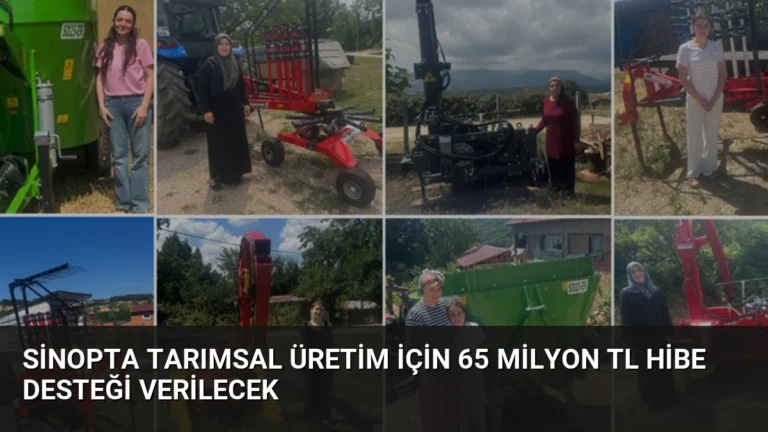 Sinopta Tarımsal Üretim İçin 65 Milyon TL Hibe Desteği Verilecek
