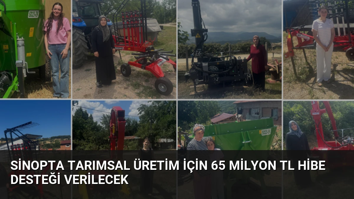 Sinopta Tarımsal Üretim İçin 65 Milyon TL Hibe Desteği Verilecek