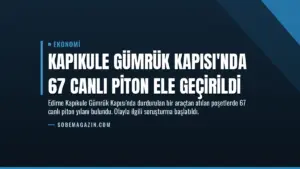 Kapıkule Gümrük Kapısı’nda 67 Canlı Piton Ele Geçirildi