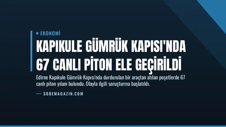 Kapıkule Gümrük Kapısı’nda 67 Canlı Piton Ele Geçirildi