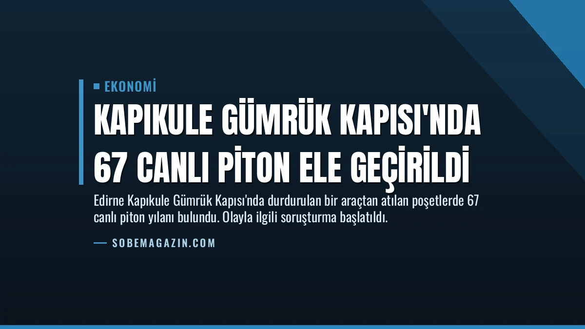 Kapıkule Gümrük Kapısı’nda 67 Canlı Piton Ele Geçirildi
