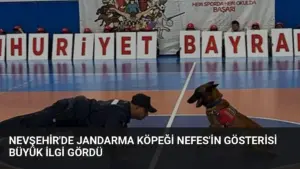 Nevşehir'de Jandarma Köpeği Nefes'in Gösterisi Büyük İlgi Gördü