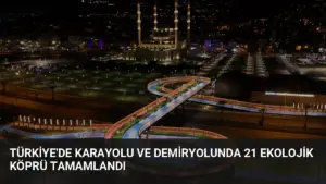Türkiye'de Karayolu ve Demiryolunda 21 Ekolojik Köprü Tamamlandı